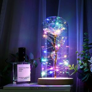 Galaxy Enchanted Rose Dome